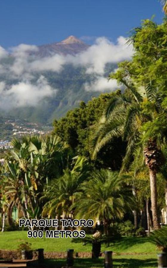 Toplage. Blick. Sauber. Guenstig. Pool. Gepflegt Пуерто-де-ла-Крус Екстер'єр фото